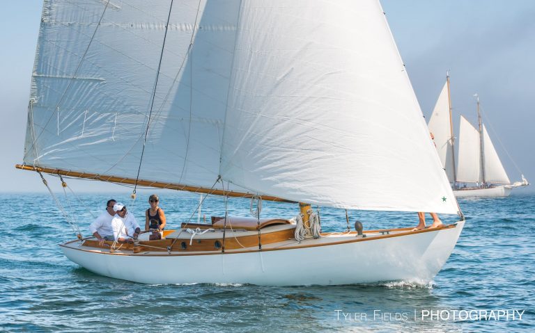 465259502 8601781969868548 3180188350674775460 n 768x479