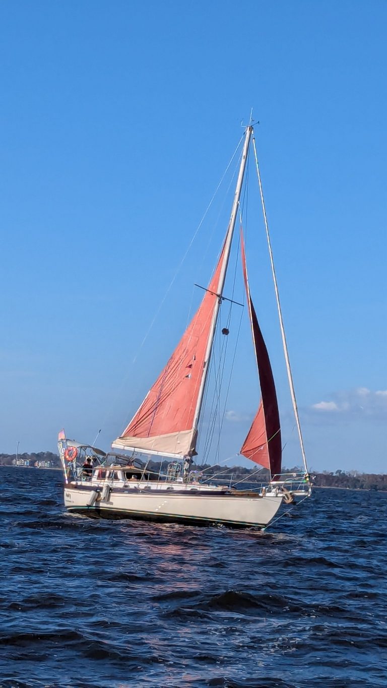 4784771619119026151 768x1365