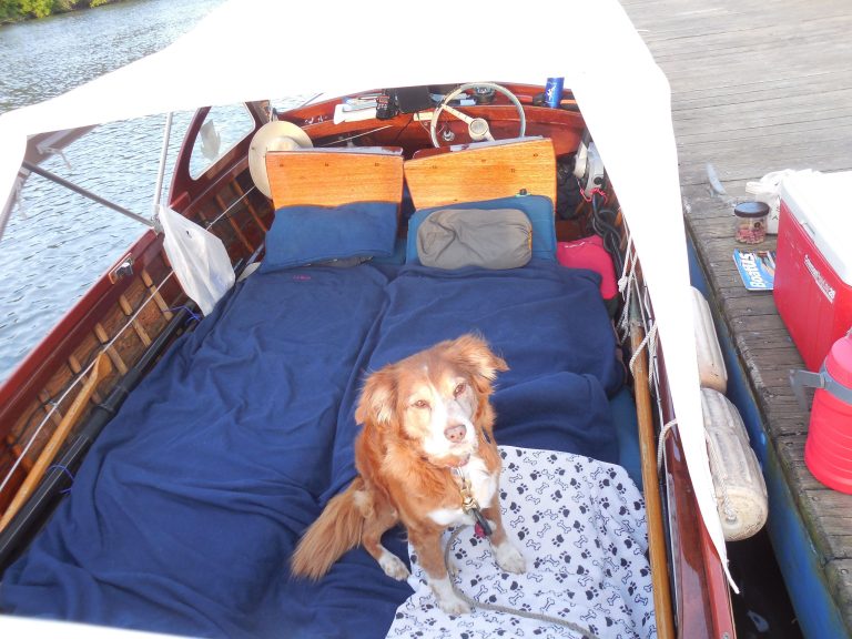 DSCN2697small 768x576