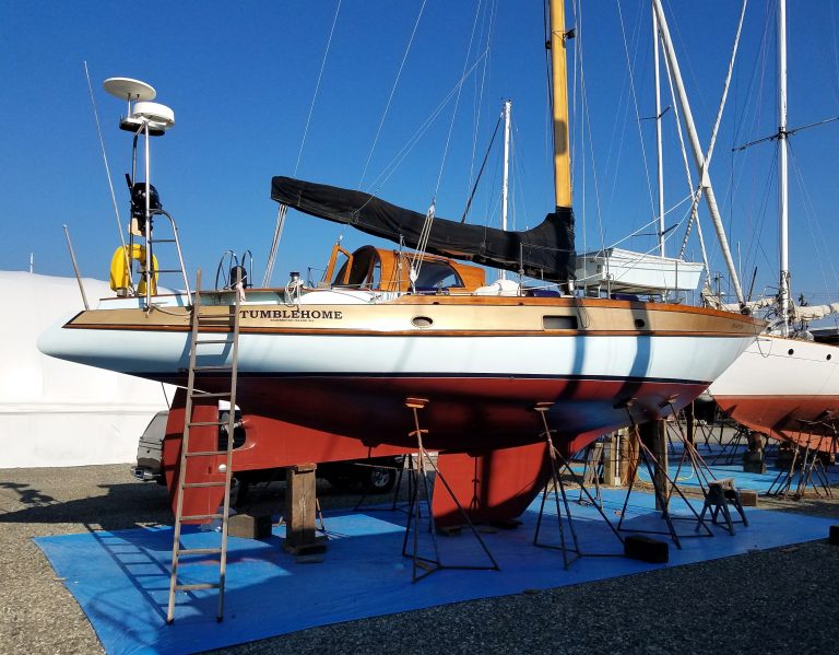 Haulout 3 edited 768x599