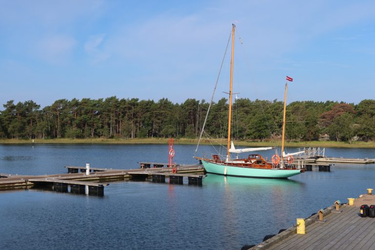 IMG 20250105 WA0009 768x512