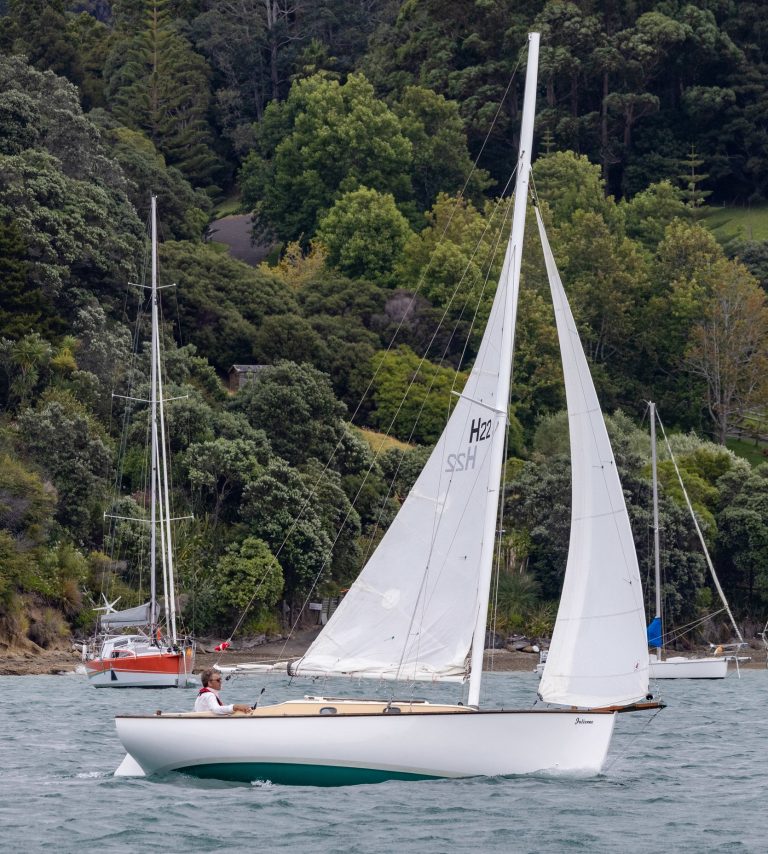 101566423 Julienne 2 768x854