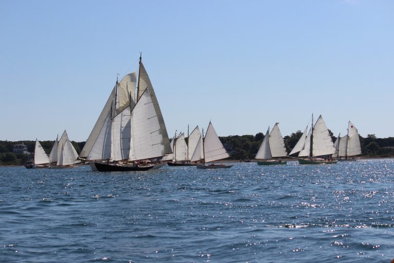 1F968780 1F2D 45F7 BF6F EFA685FF96C9 768x512