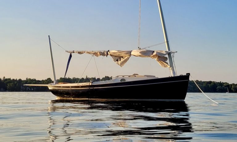 20210618 201731 resized 1528x2048 2nr 768x461