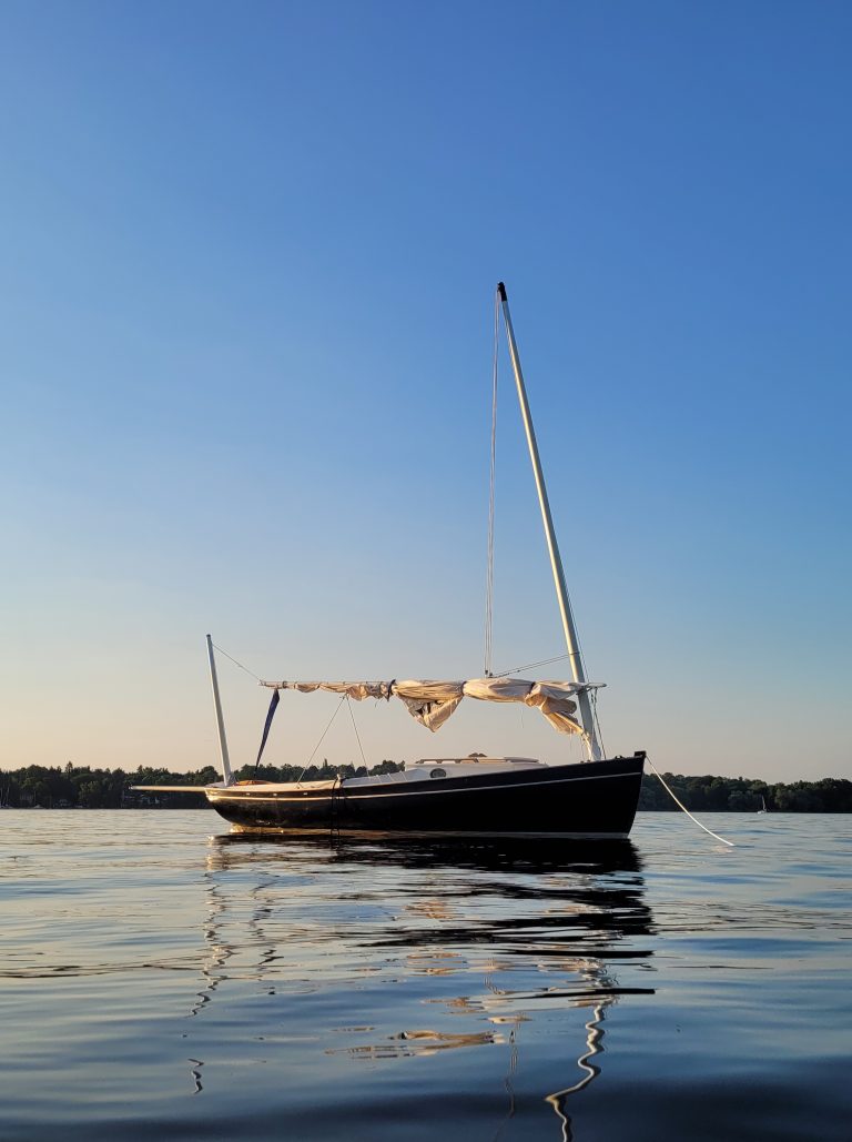 20210618 201731 resized 768x1029