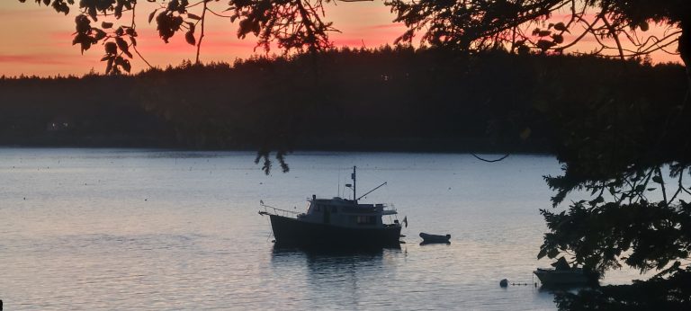 20220828 194505 768x346