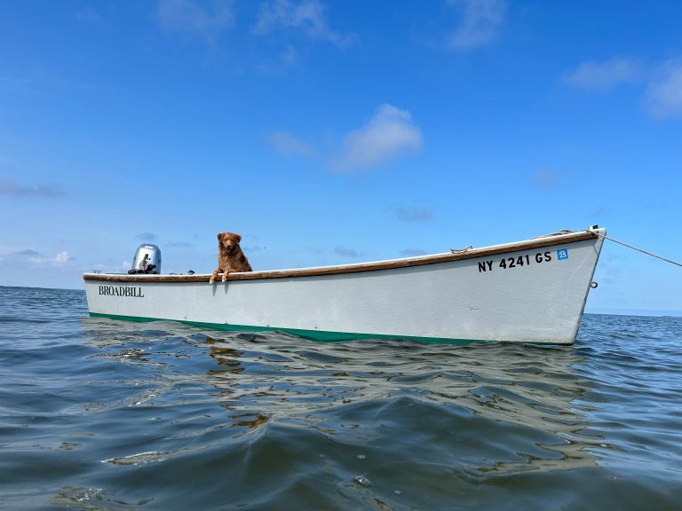 2023 Sharpie Porgy 768x576