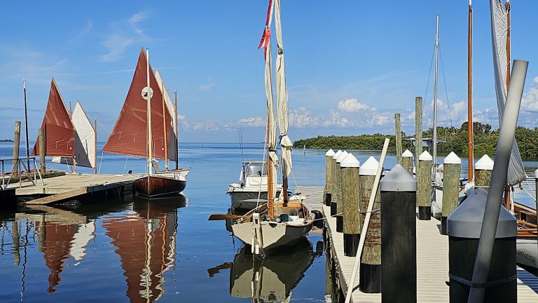 20231110 122320 768x432