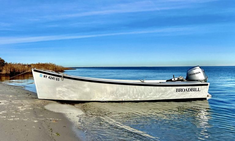 2024 Fall Shrapie East Island 2048x1536 2nr 768x461