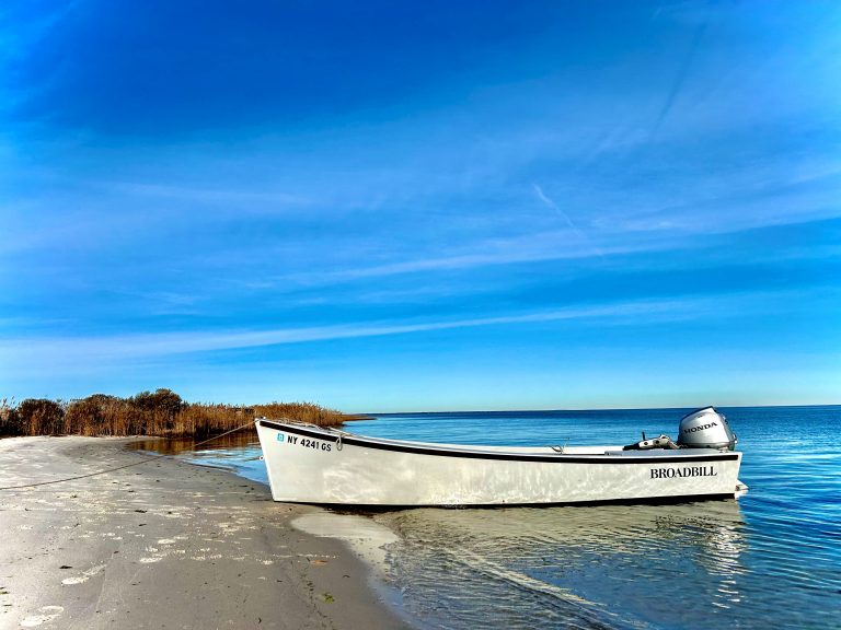 2024 Fall Shrapie East Island 768x576