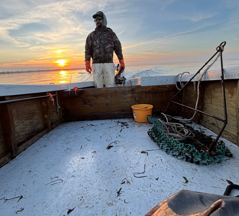 2024 Sunset Sharpie Pic 768x694