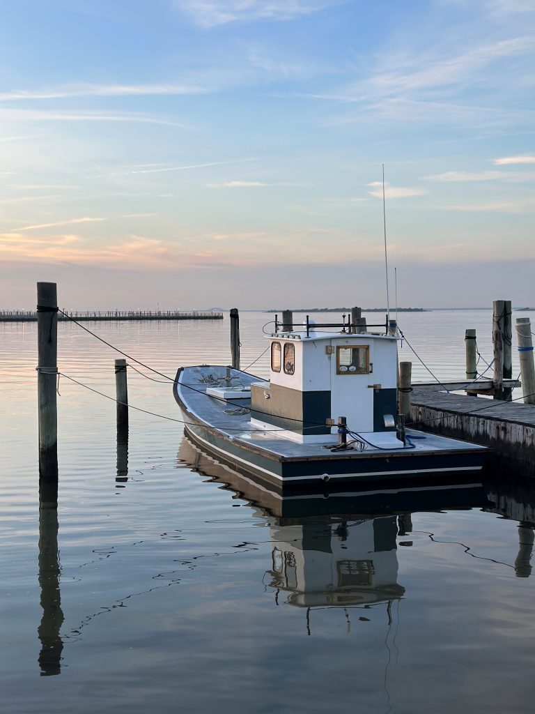 2024 Tong at Eel Farm 768x1024