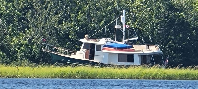 20240721 154252 1 768x346