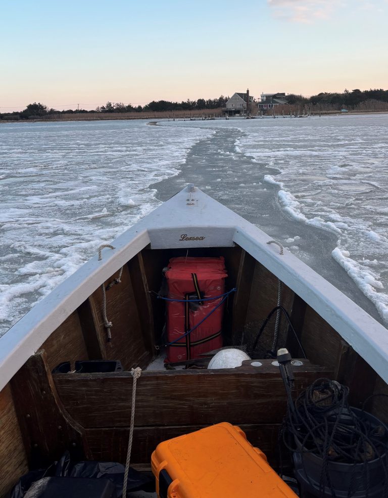 2025 Ice Sharpie 768x985