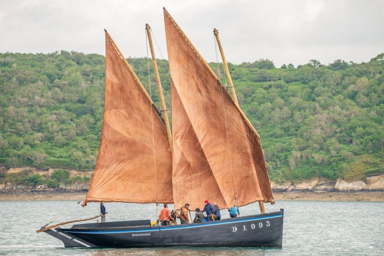 AN EOSTIG 10 768x513