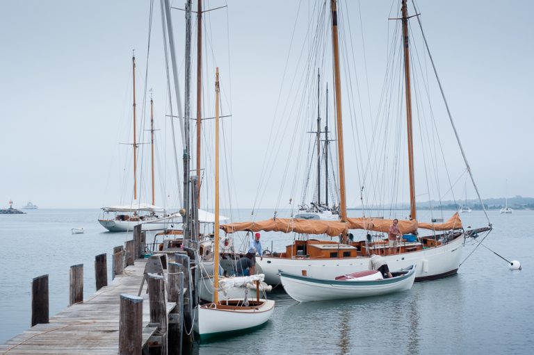 Alison Shaw photo 6533 768x511