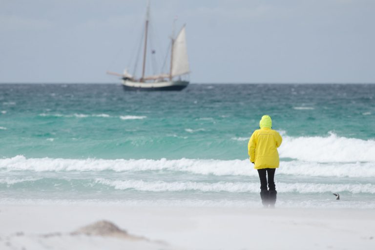 Antarctica Tecla 768x512