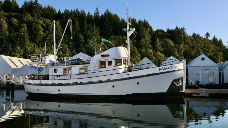 BD46BCBB C3FB 44BB 94BB B0FB2F3F0E6B 1 105 c 768x432