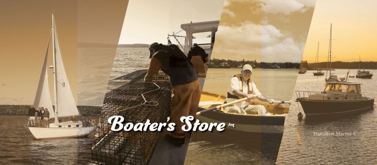 COVER IMAGE Spring 2023 768x337