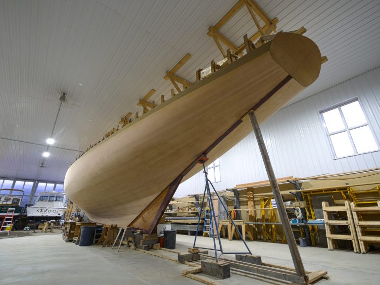 DORIS 5.17.2022 1536x1152 1 768x576