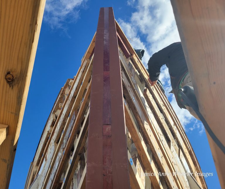 Duncan and bow 768x643