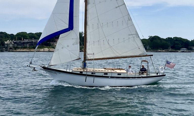 IMG 0677 1536x2048 2nr 768x461