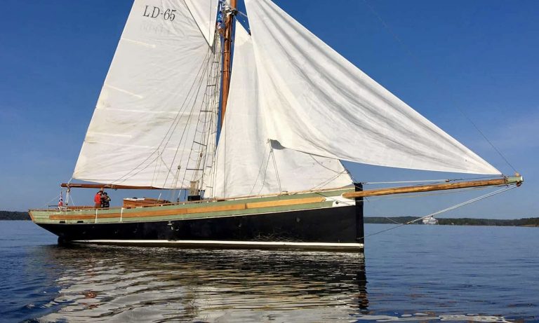 IMG 1050 1 2NR 768x461