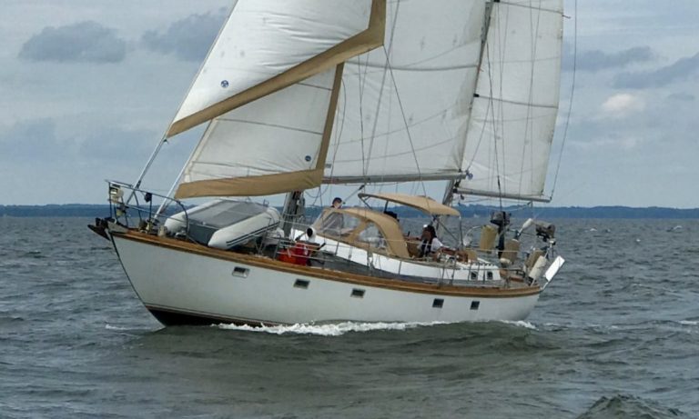 IMG 2084 1536x2048 2nr 768x461