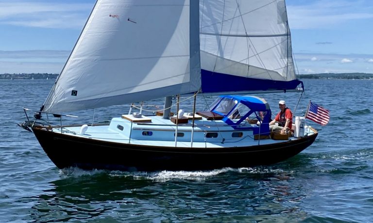 IMG 3566 1536x2048 2nr 768x460