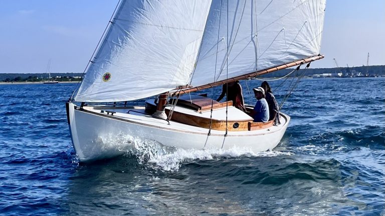 IMG 5620nr 2 768x432