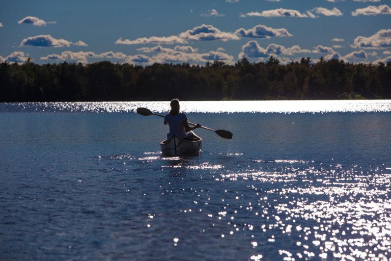 JPS S T 0365 copy 768x512