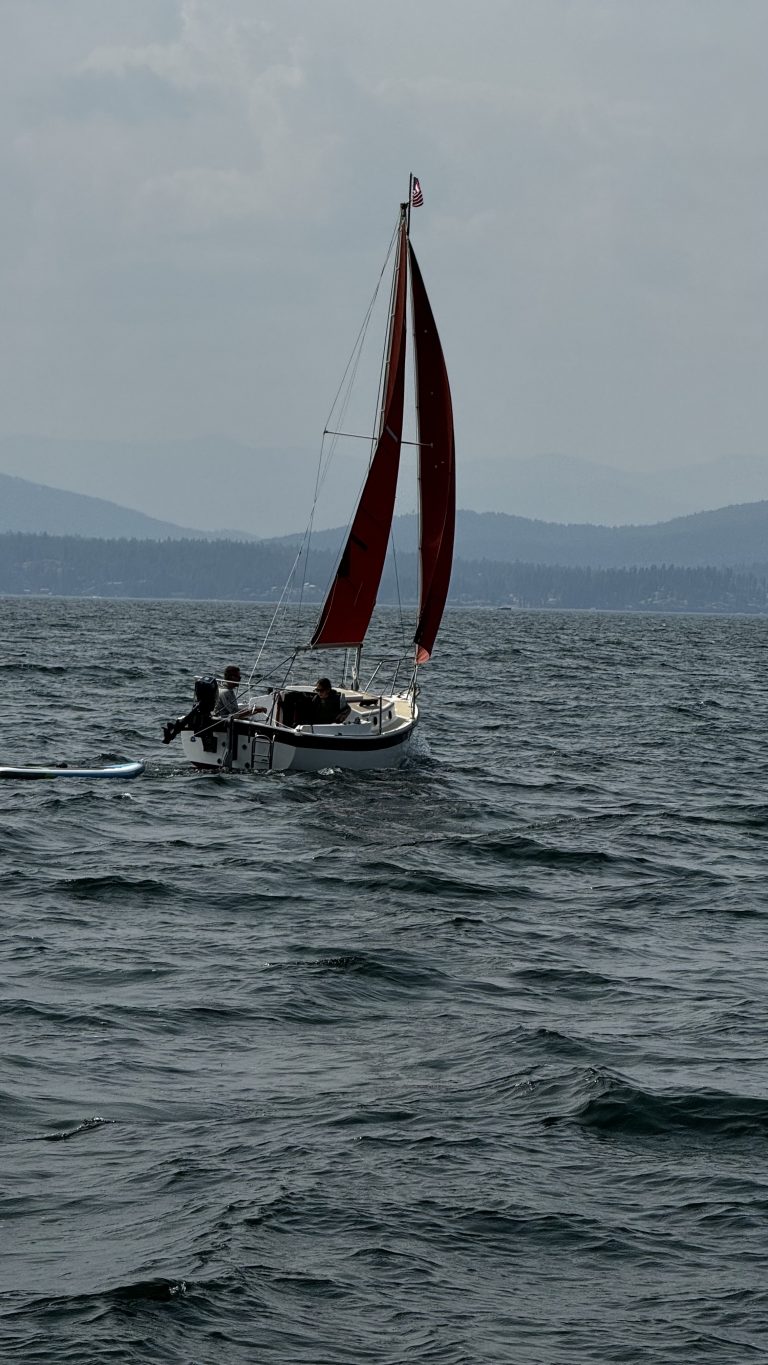 Marionette 3 768x1365