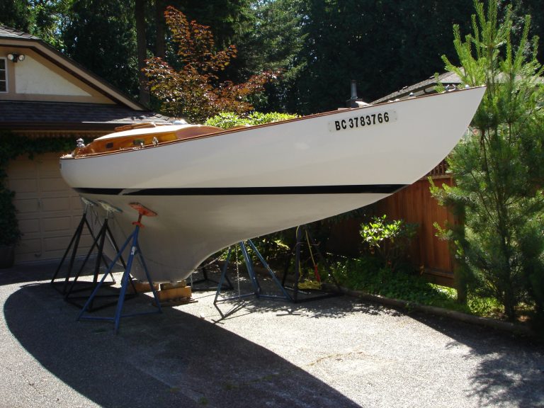 Most Recent Kestrel Pictures 004 768x576