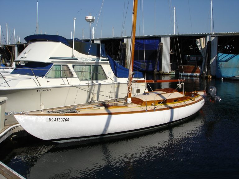 Most Recent Kestrel Pictures 2 004 768x576