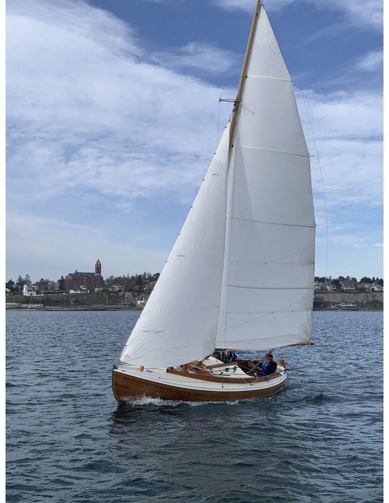 Murrelet 131321pdf 768x994