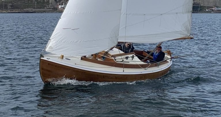 Murrelet 131321pdf copy 768x407