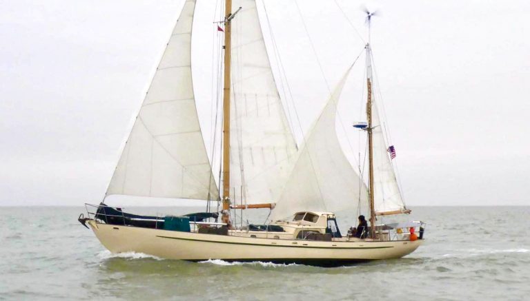 P1010552 2048x1891 1 2nr 768x437