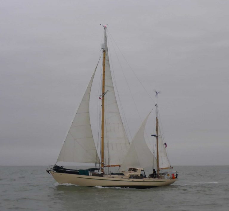 P1010552 2048x1891 1 768x709