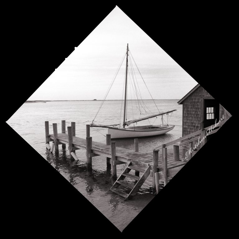 SallyMay.matthobart 2 768x768