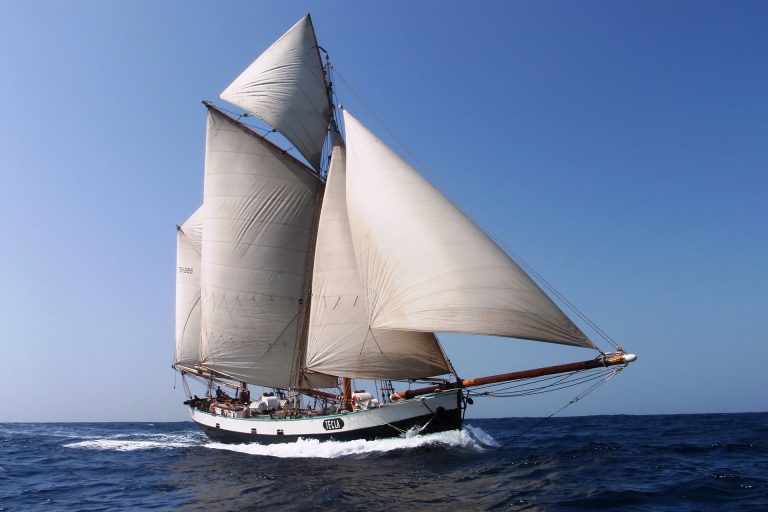 Tecla under full sail in blue sky 768x512