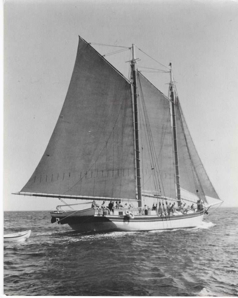 Webbers Cove Stephen Tabor 768x960