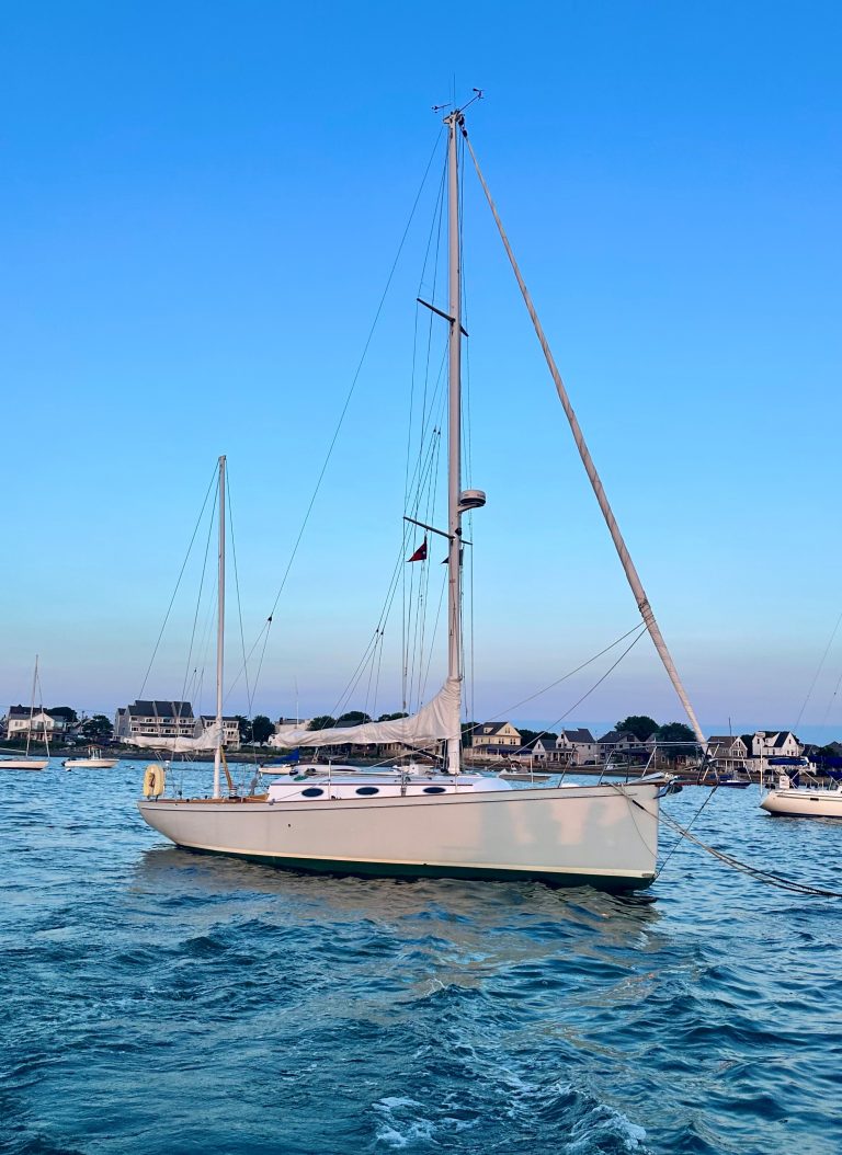 Winks 2024 Hull 768x1054