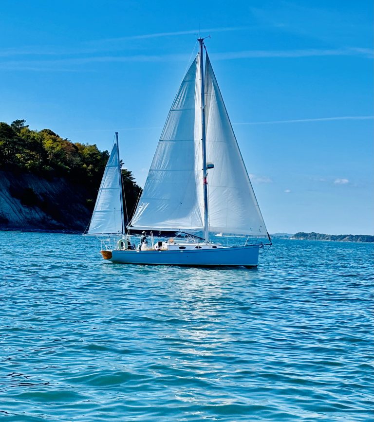 Winks October 2024 768x867