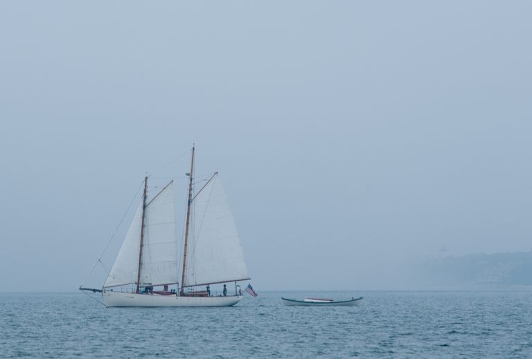 charlotte.whaleboat.shaw  768x518