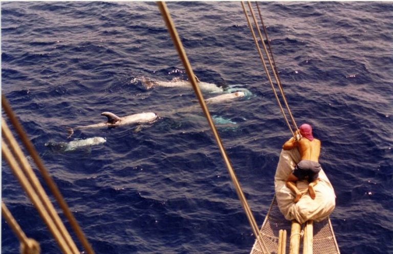 cruzando la proa.jpg 880.0x570.0 q85 subsampling 2 768x497