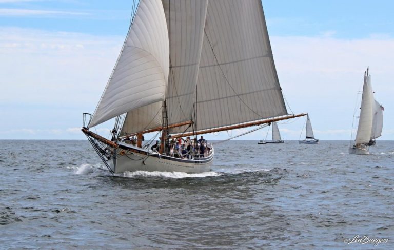 esperanto cup 2019 len burgess 768x488