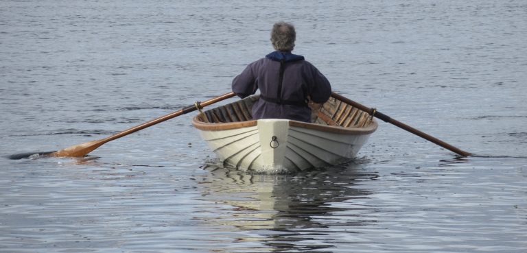 gordon reduced 768x369