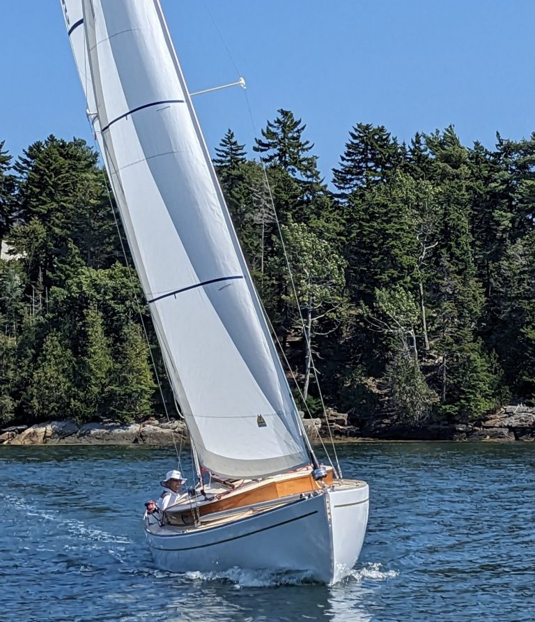 image000000 6 768x892