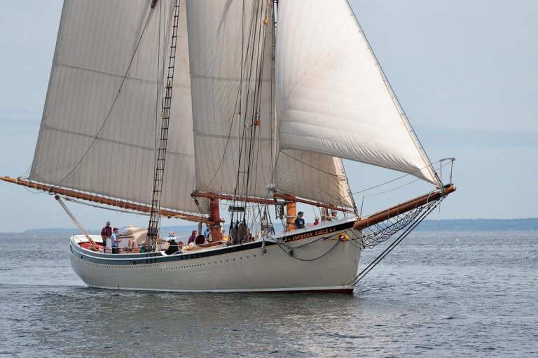 john williams 768x512