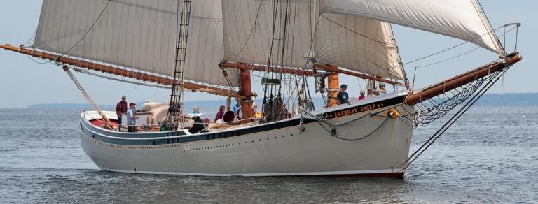 john williams copy 768x292